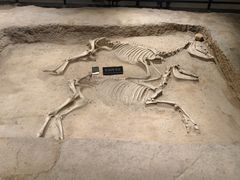 -洛阳周王城天子驾六博物馆