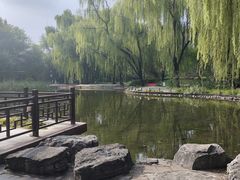 -玲珑塔公园
