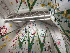 -绿壁虎攀岩基地(Tcar店)