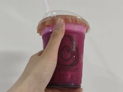 -油梨树AVOCADO TREE(顺义新国展店)