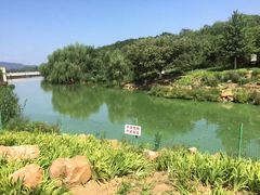 -北京张裕爱斐堡酒庄