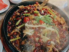 -老板恋上鱼(恒隆广场店)