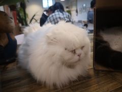 -小时光咖啡馆(北锣鼓巷店)