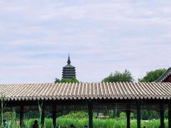 -西海子公园