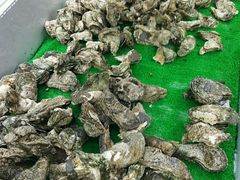 -大富蚝乌东哥饭店·石锅鱼杂·柠檬鸭(革新路店)
