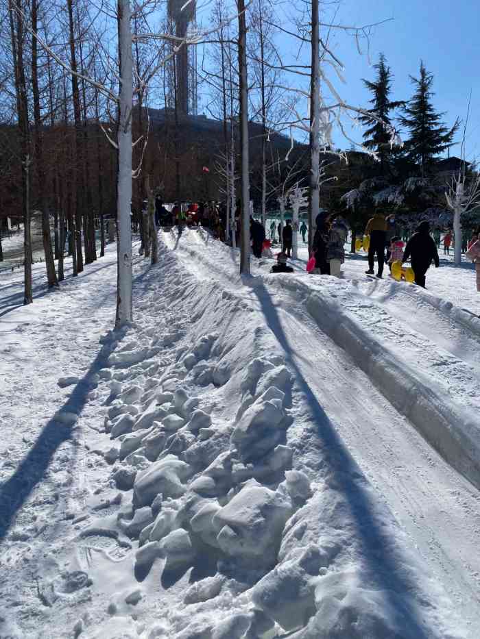 勞動公園冰雪樂園-