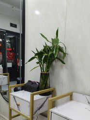 -TRIMS HAIR 修剪造型·烫染接发