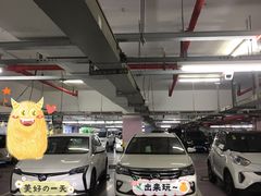 -上海浦东国际机场T1航站楼-P1停车场