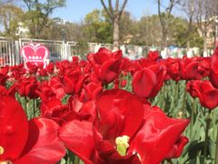 -玄武湖景区-情侣园游乐场