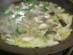 -鸭嘴鱼