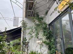-六出私塾LiuChu•成人美术书法系统课程专业画室(熊婆婆的花园店)