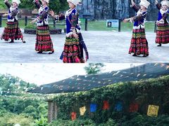-贵州森林野生动物园