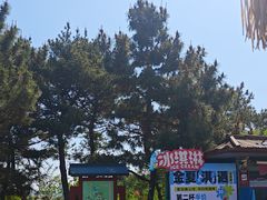 -《神游传奇》秀