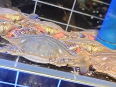 -小螺号海鲜·地道鲁菜(省体总店)