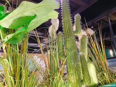 -V-ONE西雅图海鲜自助餐厅(仓山万达广场店)