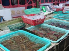 -外伶仃岛海鲜市场