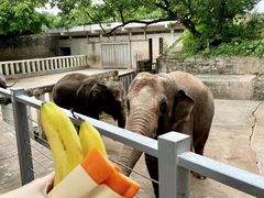-深圳野生动物园