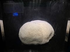 -同济大学四平路校区深海探索馆