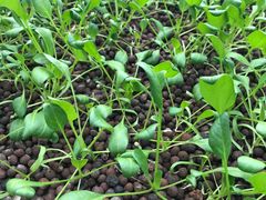 -中国农科院国家农业科技展示园