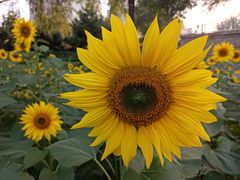 -长白岛森林公园