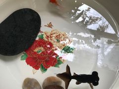 -孟林厨房(798店)