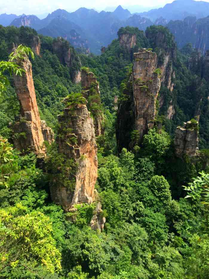 西海峰林-"『西海峰林』来张家界旅游必到的景点,远处.