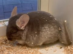 -龙猫仔乐园(惠福东路店)