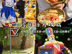 -灵玲国际马戏城