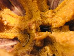 -海胆小馆(东北水饺·春柳店)