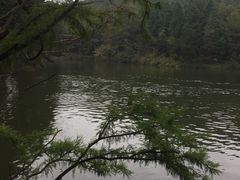 -四明山国家森林公园