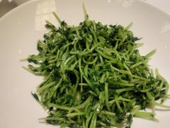 -洋洋中餐馆·SINCE 1997(信投店)