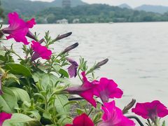 -杭州西湖柳莺里酒店·闻莺厅