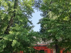 -承恩寺