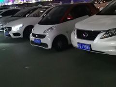 -枫花园汽车电影院(朝阳公园店)