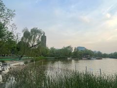 -西海子公园