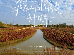 -花开海上生态园