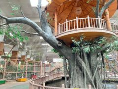 -南宫五洲植物乐园