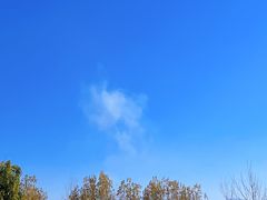 -西昌邛海湿地