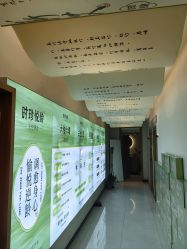 -阅年轻·AI家庭健康体质调理