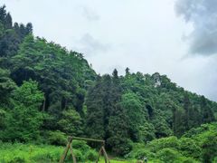 -瓦屋山景区
