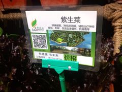 -和院老火锅铜锅烧烤海鲜(朱雀大街店)