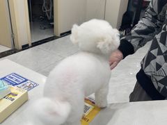 -安安宠医宠物医院·异宠·犬猫内科(岳阳分院)