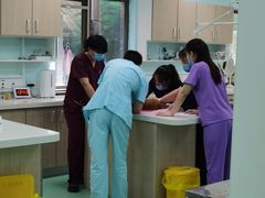 -北京观赏动物医院·24小时大型综合·猫专科·异宠专科