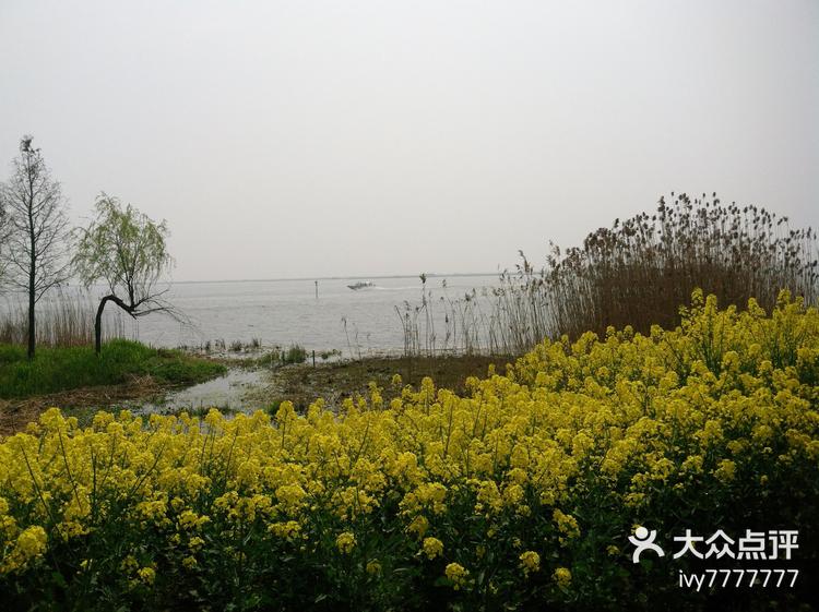 苏州必玩景点阳澄湖美人腿半岛攻略