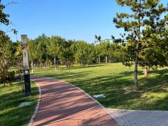 -瀛海足球主题公园