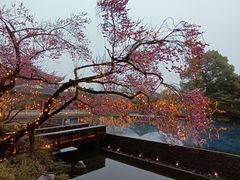 -杭州西子湖四季酒店·金沙厅