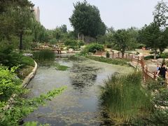 -燕郊植物园