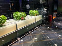-星璨火吧KTV聚会餐厅(丰庆路店)