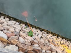 -楠溪江风景名胜区