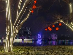 -沙澧河风景区